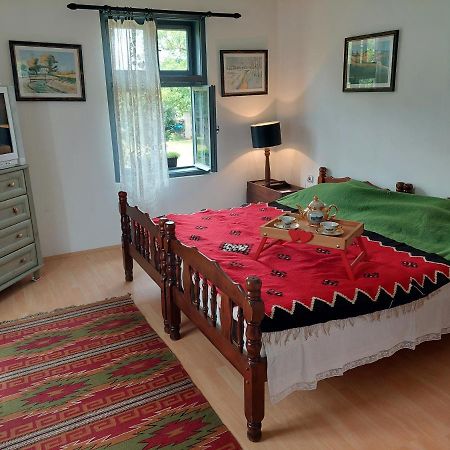 Apartmani Petkovic 226 Velika Drenova Ngoại thất bức ảnh