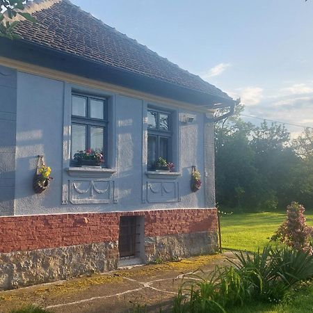 Apartmani Petkovic 226 Velika Drenova Ngoại thất bức ảnh
