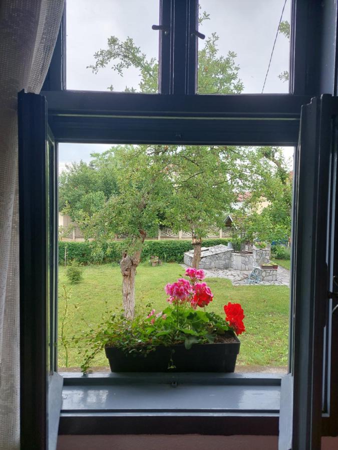 Apartmani Petkovic 226 Velika Drenova Ngoại thất bức ảnh