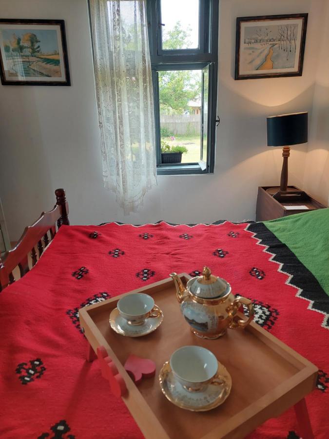 Apartmani Petkovic 226 Velika Drenova Ngoại thất bức ảnh