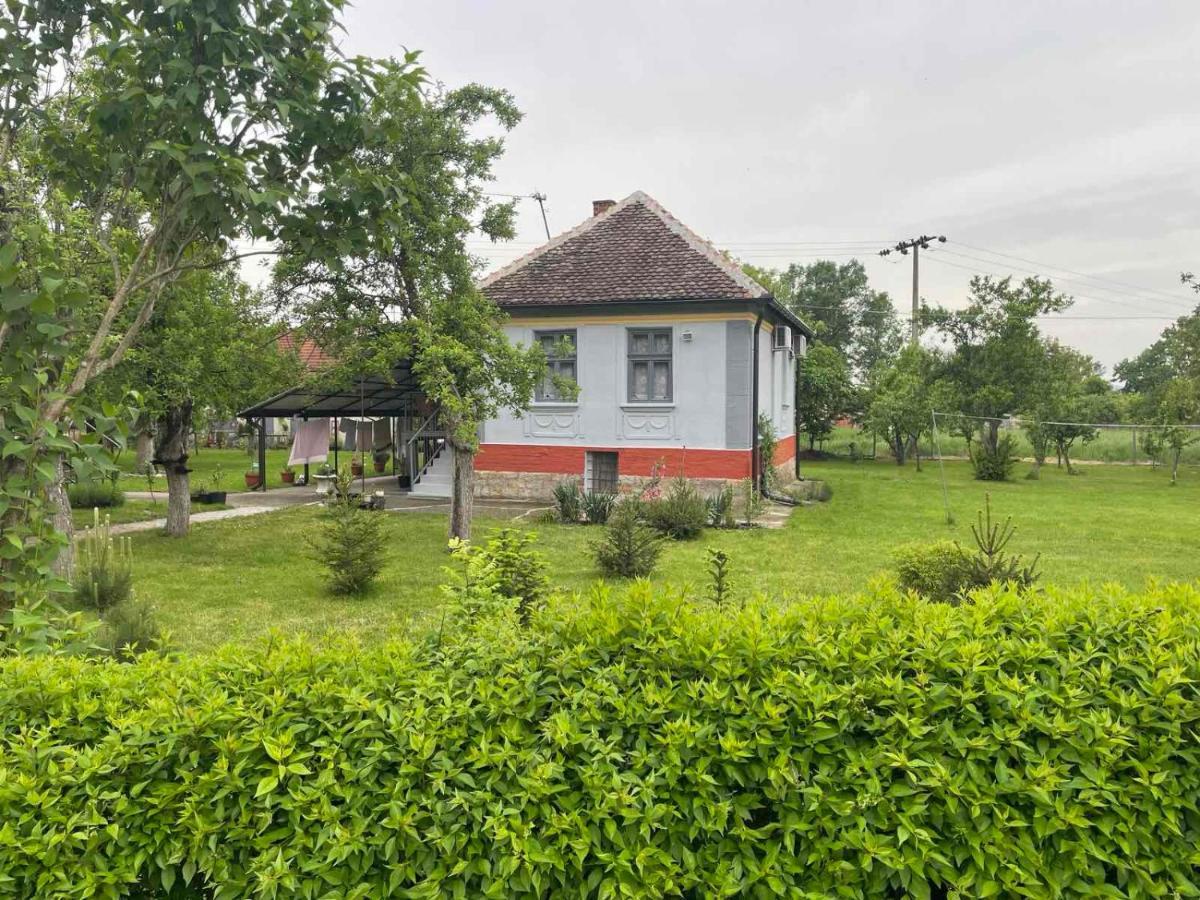Apartmani Petkovic 226 Velika Drenova Ngoại thất bức ảnh